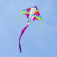 Létající drak Simple Flyer Pegasus