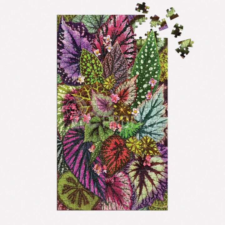 Galison Puzzle Pokojové rostliny 3x250 dílků