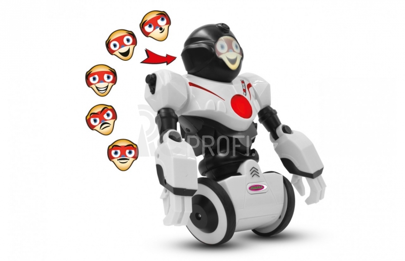 Robot Robibot
