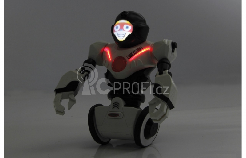 Robot Robibot