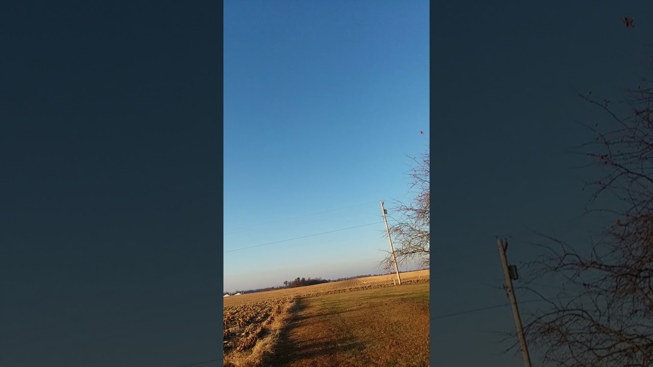 Estes Boosted Bertha Kit