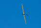 Aero-naut Triple Speed