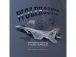 Antonio dámské tričko F-15C Eagle XXL
