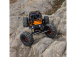 RC auto Axial Capra 1.9 4WS 1:10 RTR, žlutá