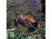 RC auto Axial RBX10 Ryft 4WD 1:10 RTR, černá