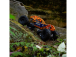 RC auto Axial RBX10 Ryft 4WD 1:10 RTR, černá