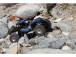 Axial RR10 Bomber 2.0 4WD 1:10 RTR šedý
