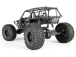 Axial Wraith Spawn 1:10 4WD RTR