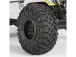 Axial Wraith Spawn 1:10 4WD RTR