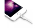 Benks kabel Beehive Lightning