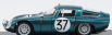 Best-model Alfa romeo Tz1 N 37 Test 24h Le Mans 1964 Bussinello - Biscaldi 1:43 Zelená