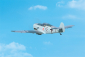 BH109 Messerschmitt BF-109 E3 2200 mm ARTF