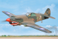 BH161 P-40 Tomahawk 2275mm ARF