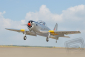 BH164 Percival P-56 Provost 1644mm ARF