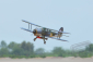 BH166 Fairey Albacore 1693mm ARF
