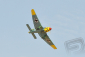 BH169 Junkers Ju-87B Stuka 2300mm ARF