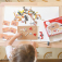 Bigjigs Toys Kreativní zatloukací hra doprava - poškozený obal