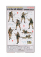 Dragon armor Accessories Air Assault Screaming Eagles Military Figures 1:35 /