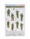 Dragon armor Accessories Panzergrenadiers Military Figures Normandy 1944 1:35 /