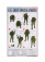 Dragon armor Accessories Usa Army Special Forces Military Figures 1:35 /