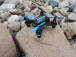 RC dron Faze 2