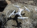 RC dron KD-60 s HD kamerou a gimbalem