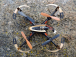 RC dron Zhan X4