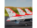 E-flite F-16 Thunderbirds 0.8m PNP