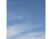 RC letadlo E-flite Night Radian 2.0m PNP
