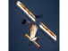 RC letadlo E-flite Night Timber X Evolution 1.2m PNP