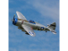 RC letadlo E-flite P-47 Razorback 1.2m PNP