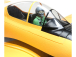 RC letadlo E-flite T-28 Trojan 1.1m PNP