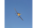 RC letadlo E-flite T-28 Trojan 1.1m PNP