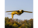 RC letadlo E-flite T-28 Trojan 2.0m PNP