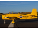 RC letadlo E-flite T-28 Trojan 2.0m Smart SAFE Select BNF Basic