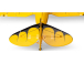 RC letadlo E-flite Waco 0.55m SAFE Select BNF Basic, žlutá