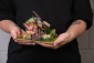 EscapeWelt 3D dřevěné puzzle Herkules antilský