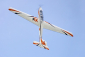 RC letadlo FOX 3000 mm ARF