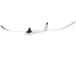 FPV Micro 0.7m AS3X Radian BNF Basic bez headsetu