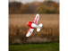 Gee Bee R-2 0.5m SAFE Select BNF Basic