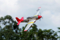 Giant P-51D Mustang EPP 1700mm ARF RED TAIL