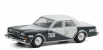 Greenlight Dodge Diplomat Tijuana Mexico Taxi 1984 1:64 2 Tóny Šedé