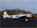 RC letadlo Hangar 9 P-47 Thunderbolt 1.5m PNP