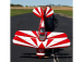 Hangar 9 Pitts S-2B 1.8m 50-60cc ARF