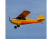 RC letadlo Hobbyzone Champ Anniversary Special Edition 515mm SAFE RTF