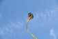 Létající drak Kobra