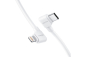 Insta360 Flow 2 Pro USB-C/ Lightning kabel