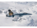 Italeri Boeing F/A-18 Hornet Tiger Meet 2016 (1:72)