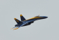 RC letadlo JDF06 Thunder Streak 1290 mm EDF 120 mm