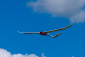 RC letadlo KAVAN Falke 1800mm ARF, modrá